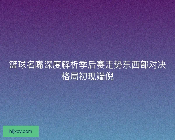 篮球名嘴深度解析季后赛走势东西部对决格局初现端倪
